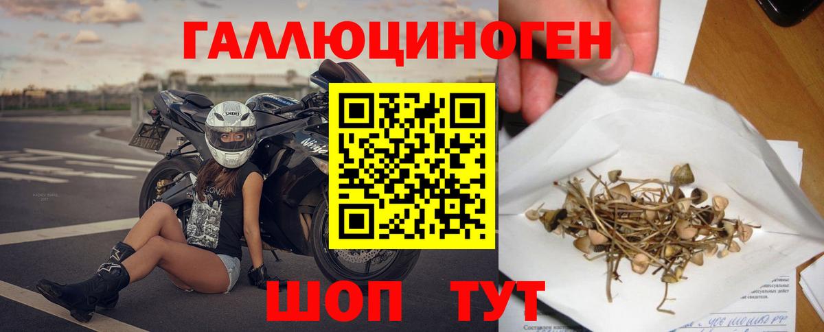 Галлюциногенные грибы ЛСД Рассказово